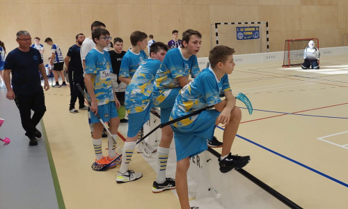 Strži byli úspěšní napůl, získali skalp Tigers