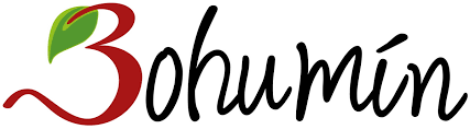 Představujeme florbalové partnery. MĚSTO BOHUMÍN