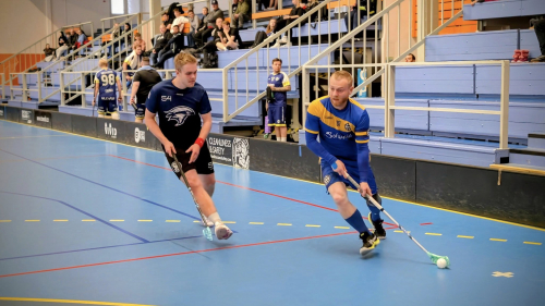 Muži senzaci nepovolili a rok zakončí znovu v čele