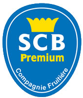 Měníme logo a přiznáváme velkou investici